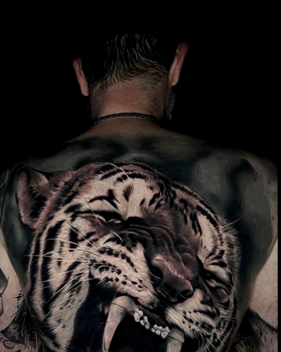 Tiger Realismus