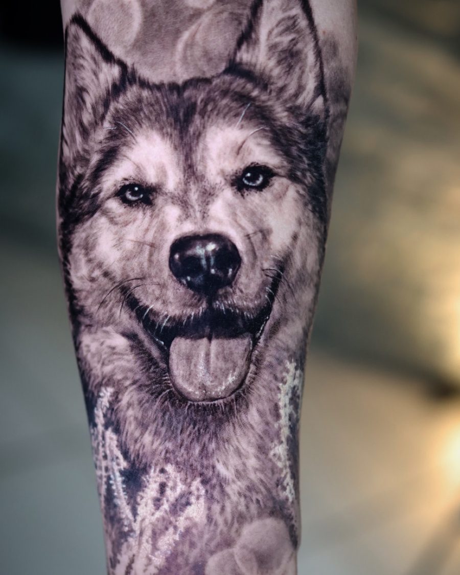 Realismus - Husky